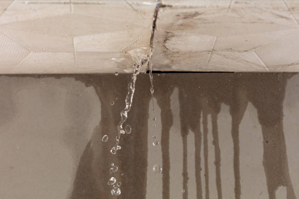 Professional Structural Drying technician working in Saint James, NY